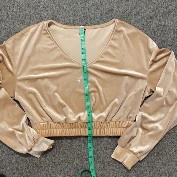 💞 5 for $10💞  Shimmering Champagne Velour Crop Top - Picture 4 of 7